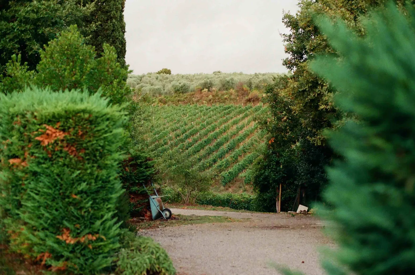 Lavoro 12