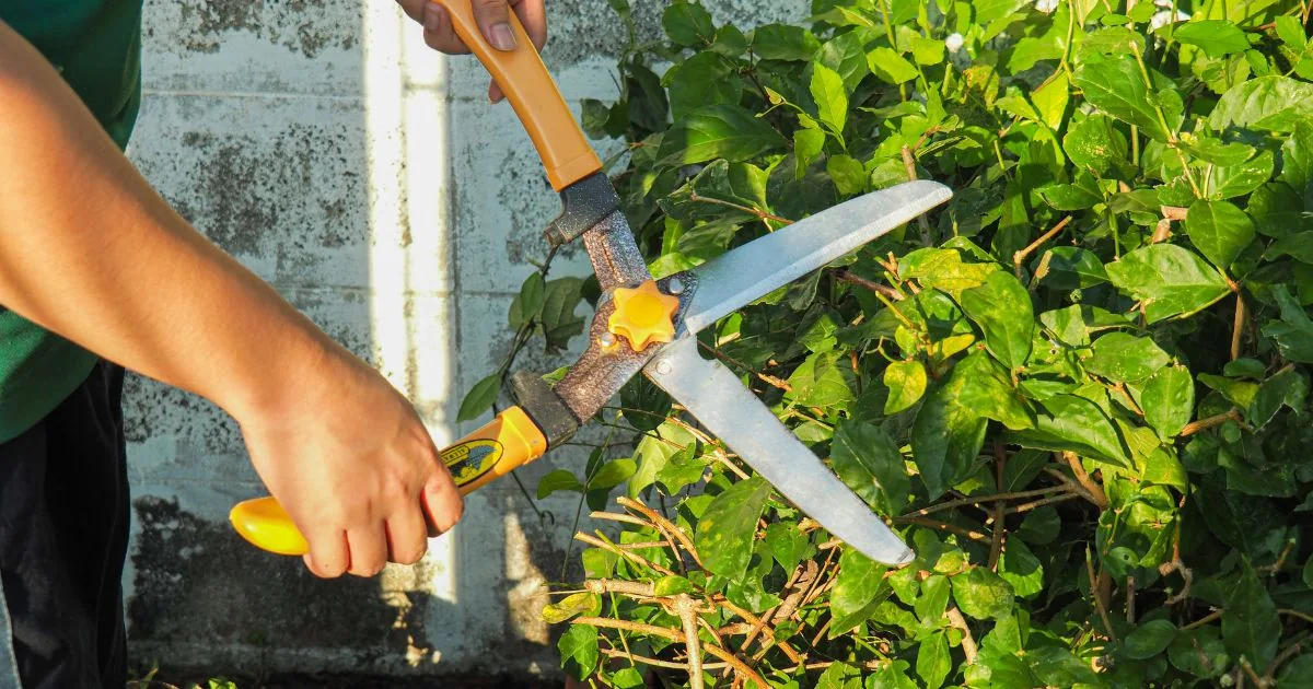 Manutenzione ordinaria e straordinaria