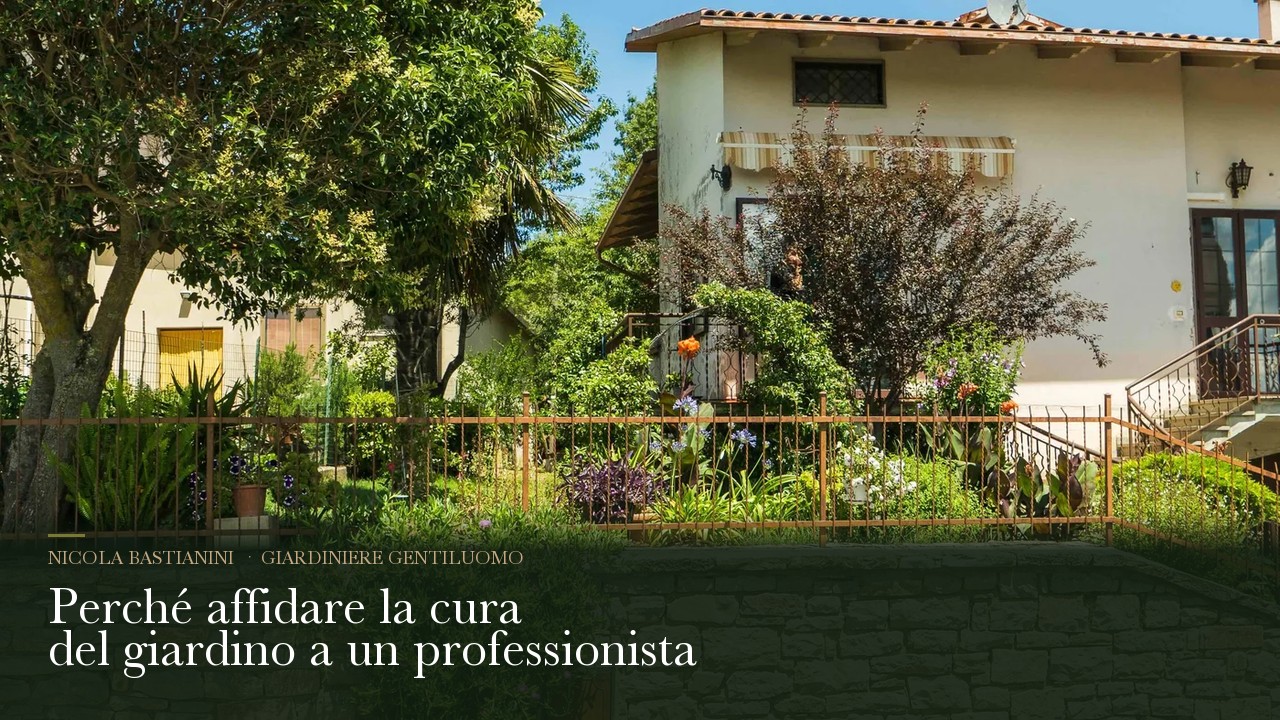 Perché affidare la cura del giardino a un professionista