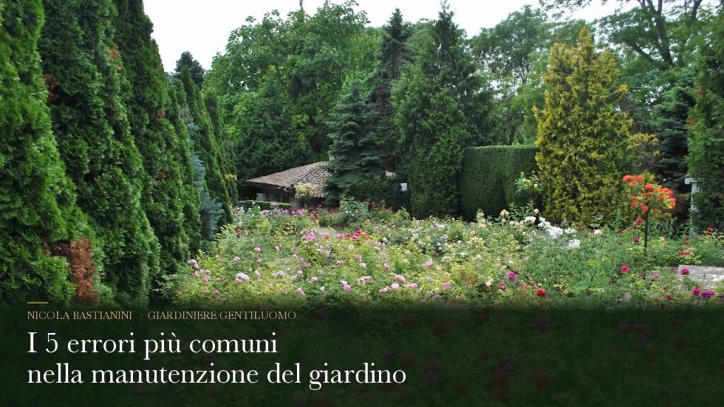 I 5 errori più comuni nella manutenzione del giardino